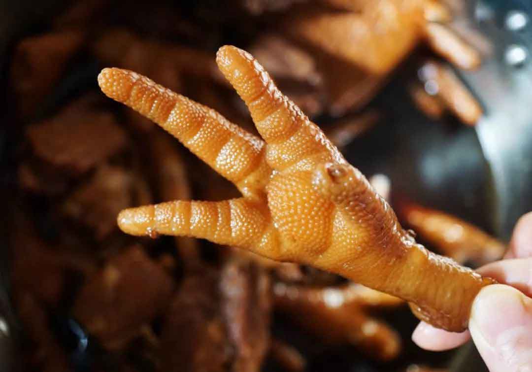 پنجه مرغ | مرکز پارسیان مهرپرور