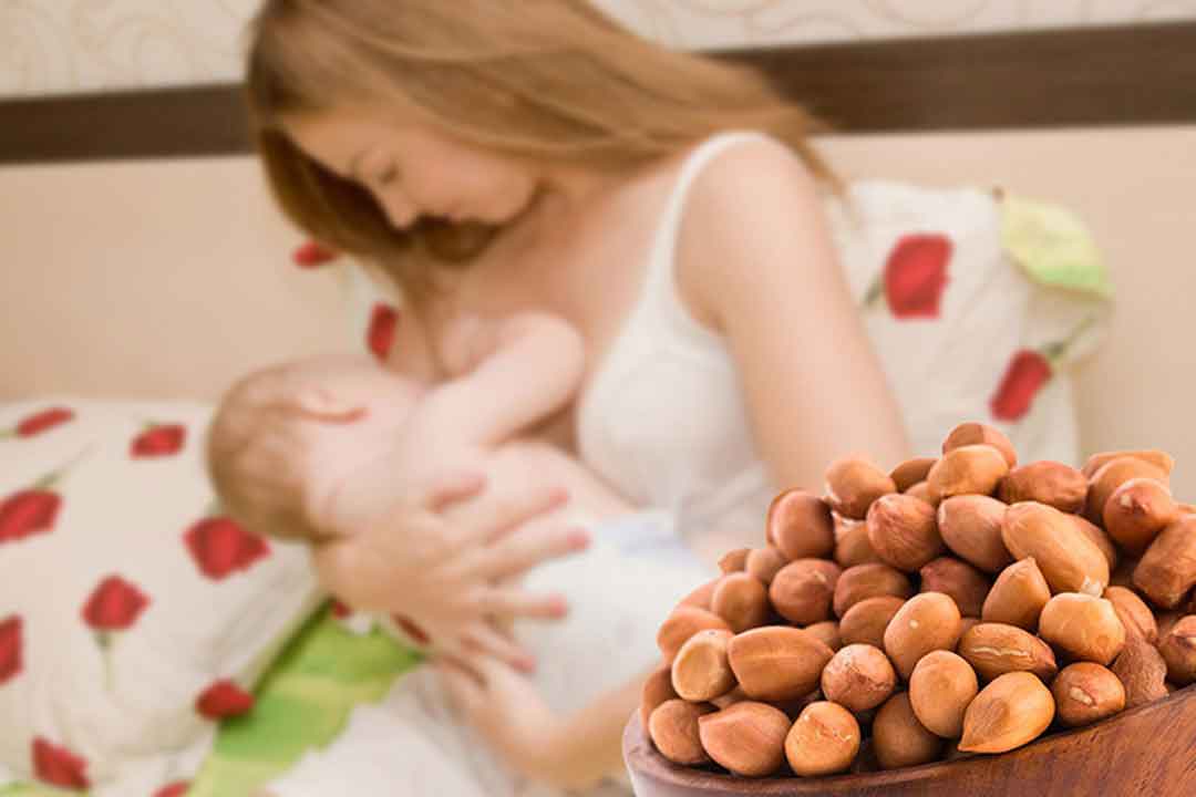 تغذیه دوران شیردهی | مرکز پارسیان مهرپرور