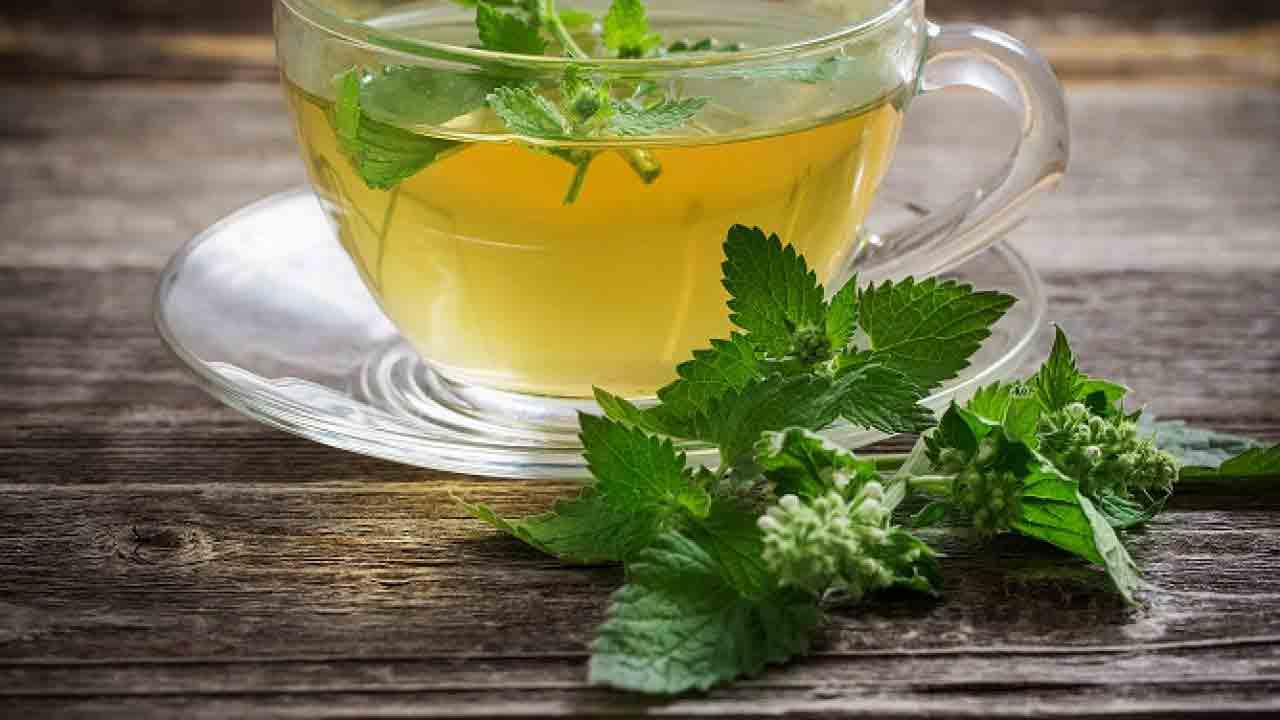 افزایش اشتها در سالمندان | مرکز پارسیان مهرپرور
