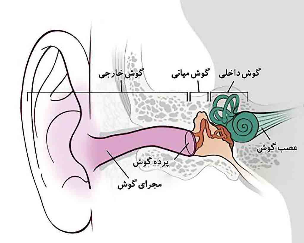 علت درد گوش