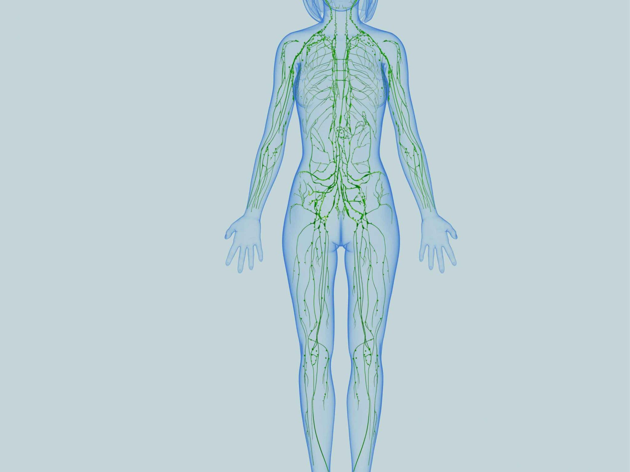 سیسنم لنفاوی | مرکز خدمات پرستاری پارسیان مهرپرور 